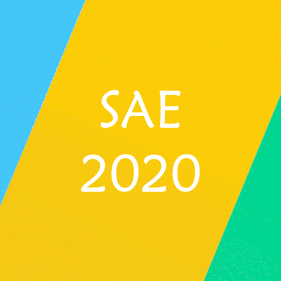 Información SAE 2020